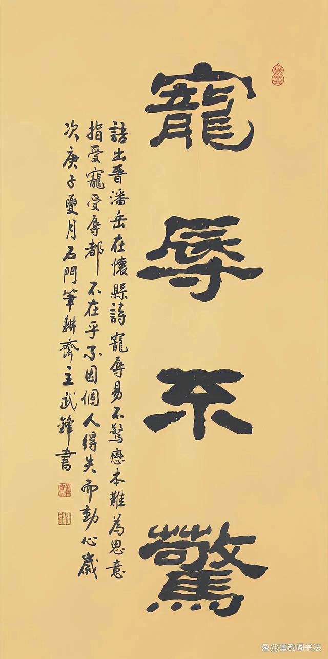 名名宠風贻韵成-若的寓意X岛数(意