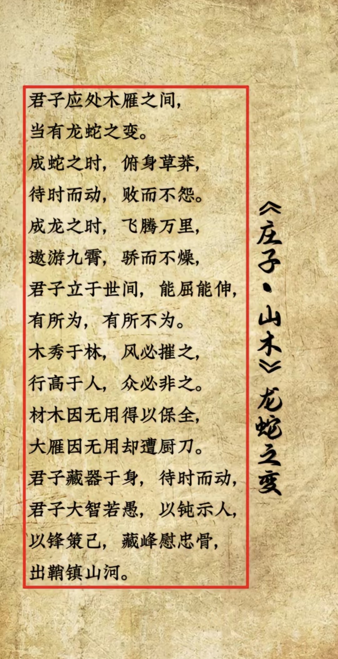 词锐名-思组寓什(意意色蛇运属-字