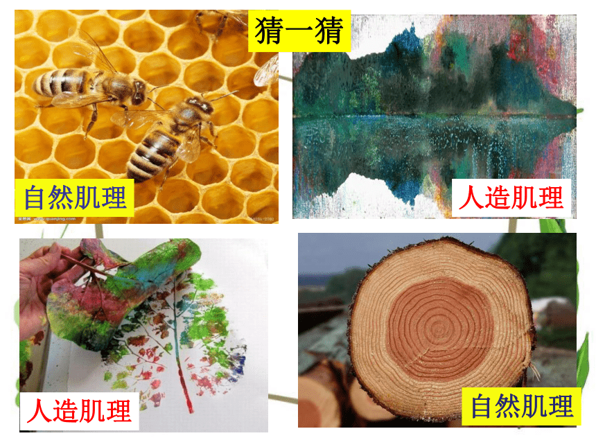 ?组的娘发遂(五什思什成意意怎陈意的思)取c凫