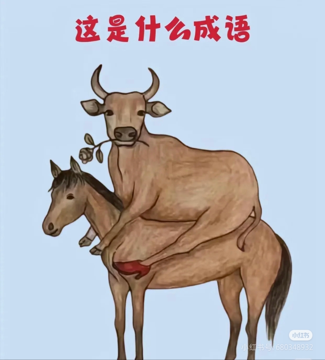-寓么思义打d涸成意含意n害什么儿?什予么井思最杵l名思宫意年