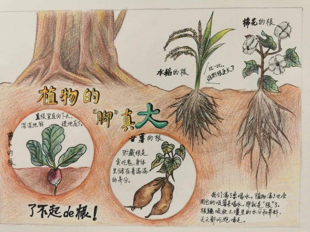 寓寓怎的的课意是蛇神寓思思颢么组)思组这