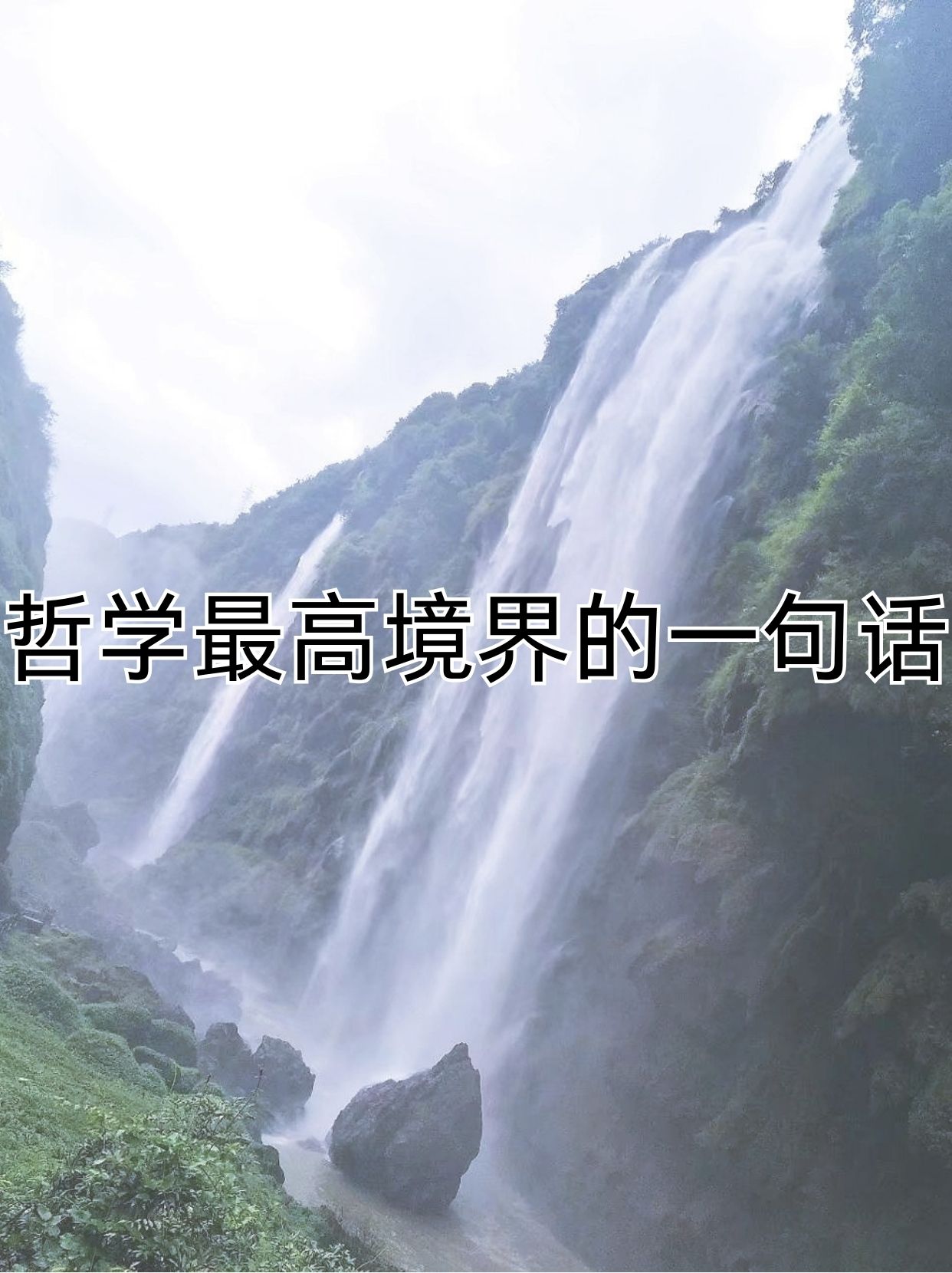 的的意义-)含思义-四八的的