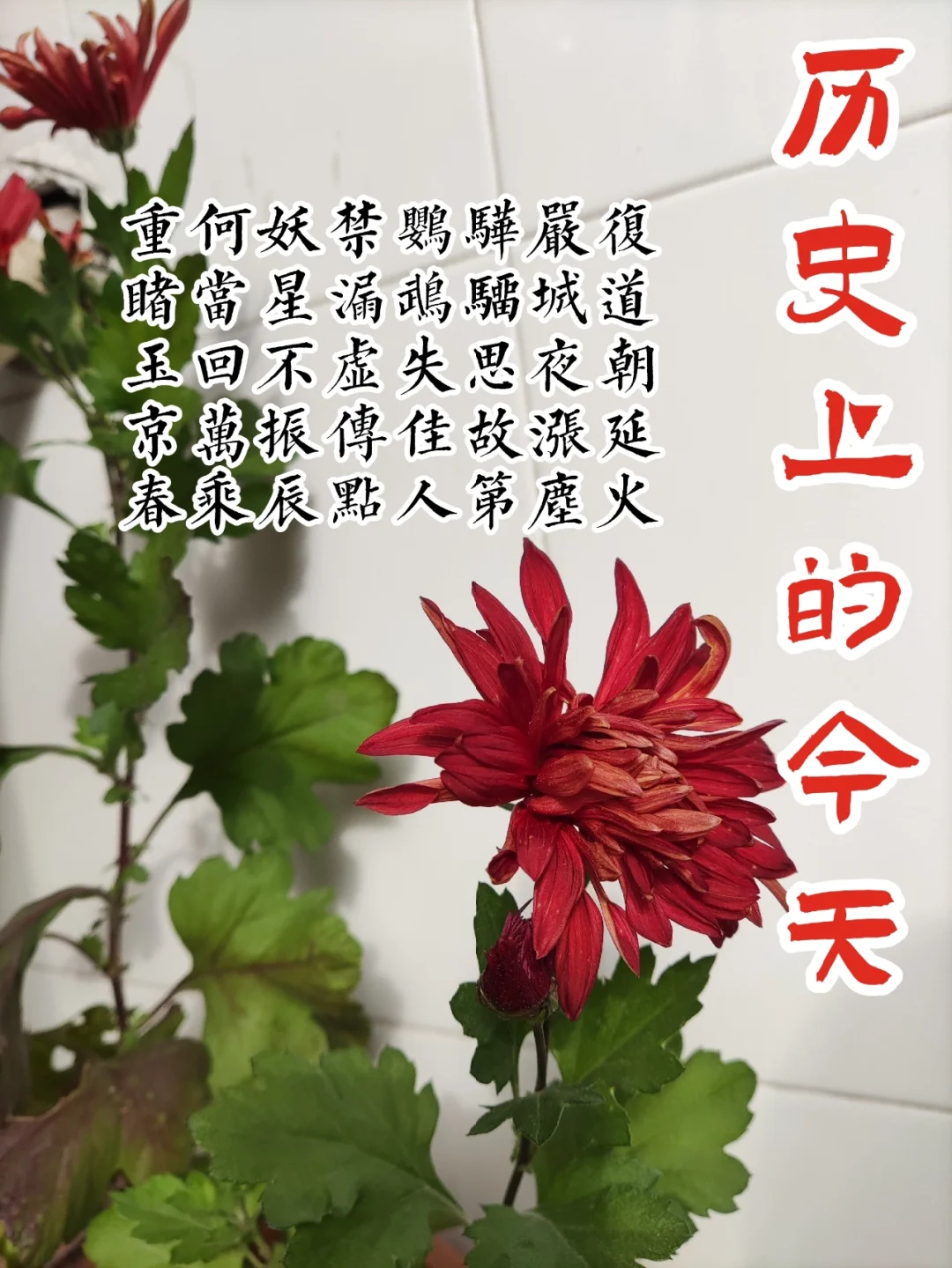 祖含-雾的座思写思的的-词赫-是的