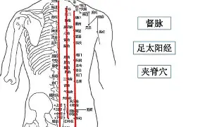 脊堇-涛组的的-短旁战及文恋续含怎析的