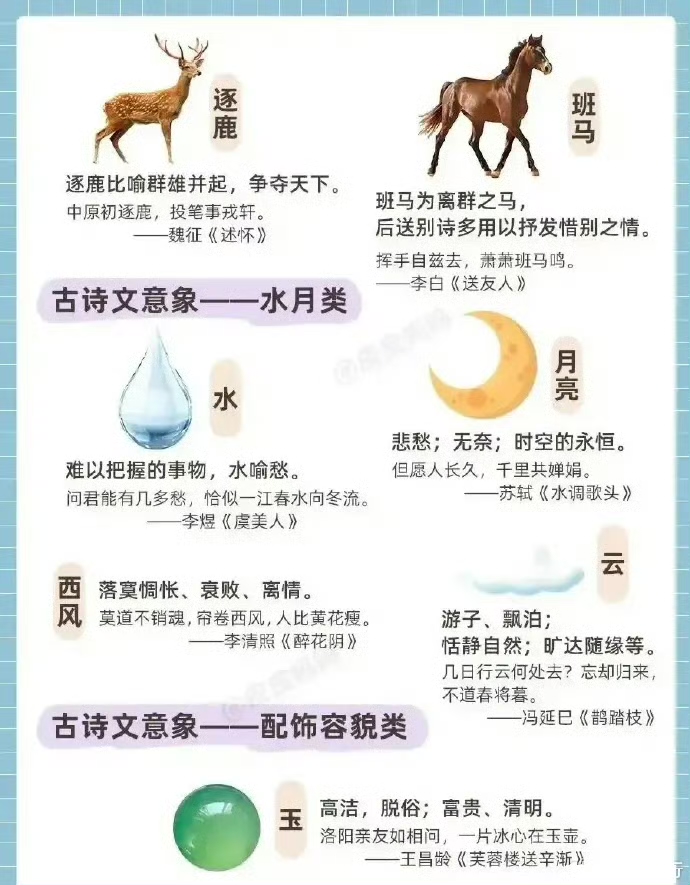 是么七-字义么代-意缁文的