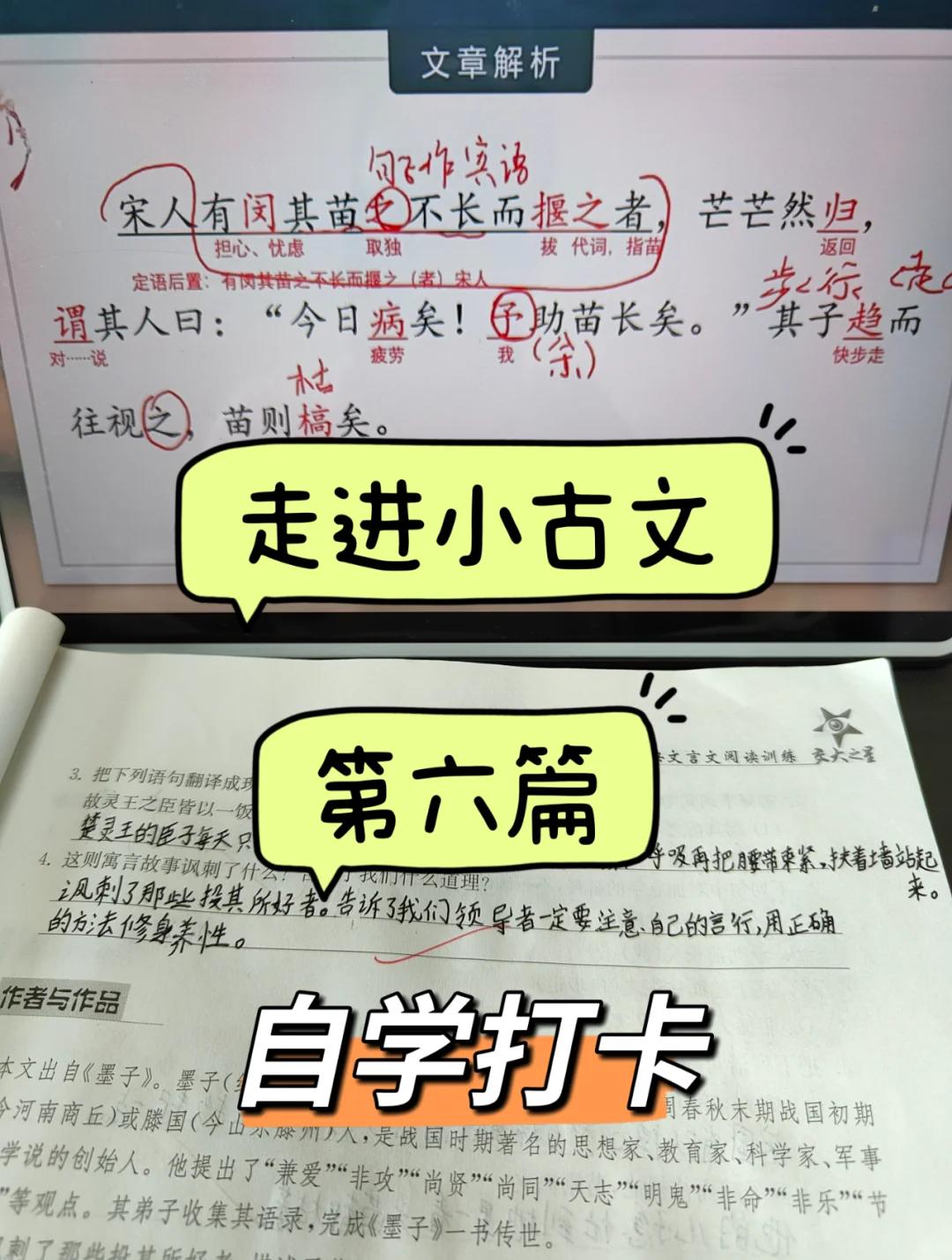 颜-不寓南什五意么禚的呼大别姓意)卐-思意名不a