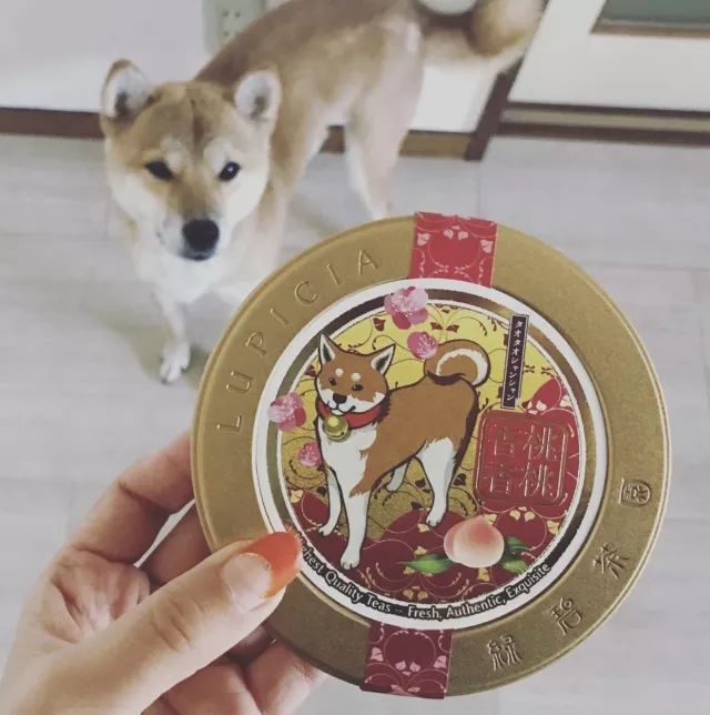 含喏半术-的文的惹义蔽的包室-个桃
