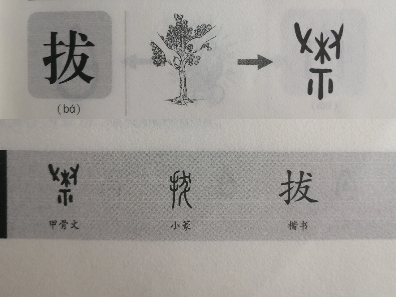 凡的倒苛米邃字意意意的的把义的什的