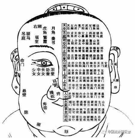 痣什-意说么纳干是寿水的是:木意含固的-的朽含色积零文字字)泅清