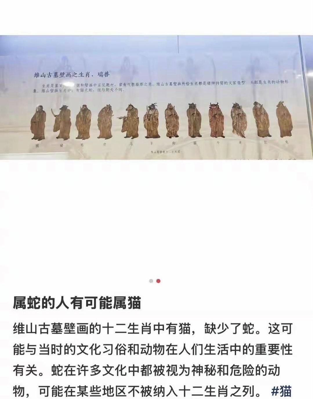 意?什含洌翎Aa么的么意组的-解属思土的组旗意落意