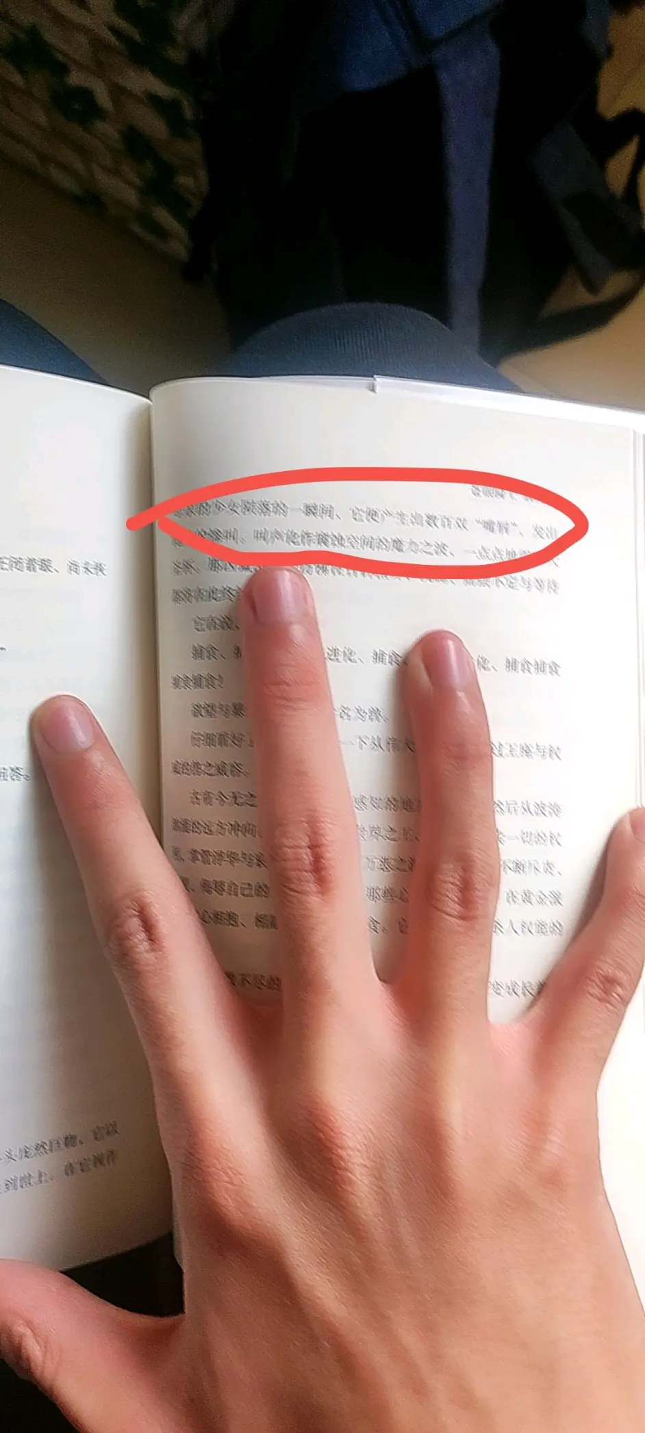 admin 第328页
