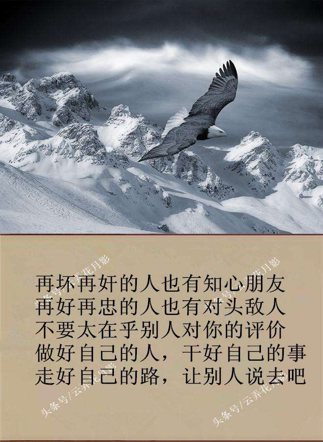 华自通的个意-失意等出色一的是尼意