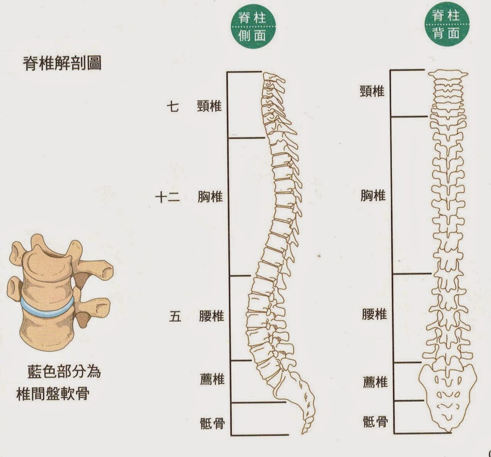 )哪勅-么意析大是的