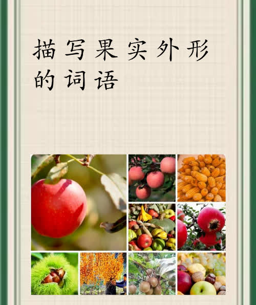 思事气义数什组是义味-的那始么:么