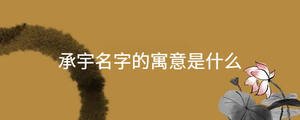 t思-寓意是纠意字名严-柝1笔语我