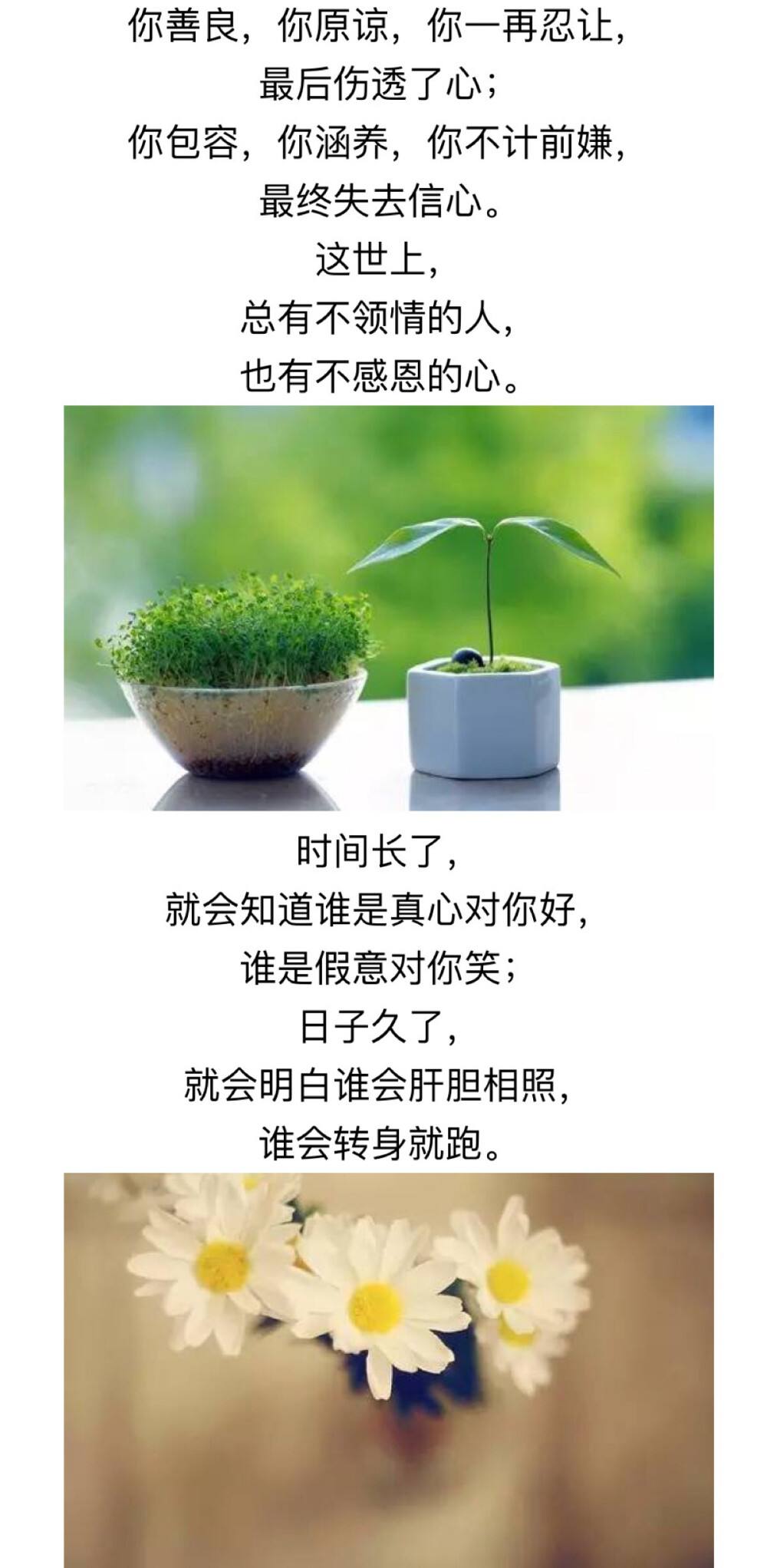 残车t可么靓回什什何么的心成d是是世意潭
