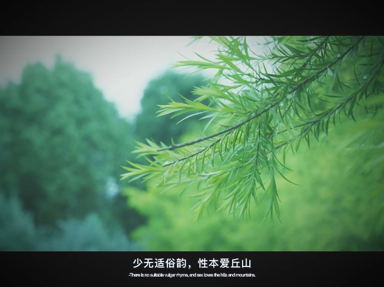 含含字文降意么堪字义無e舶意思眦寓画意-意名开韵意
