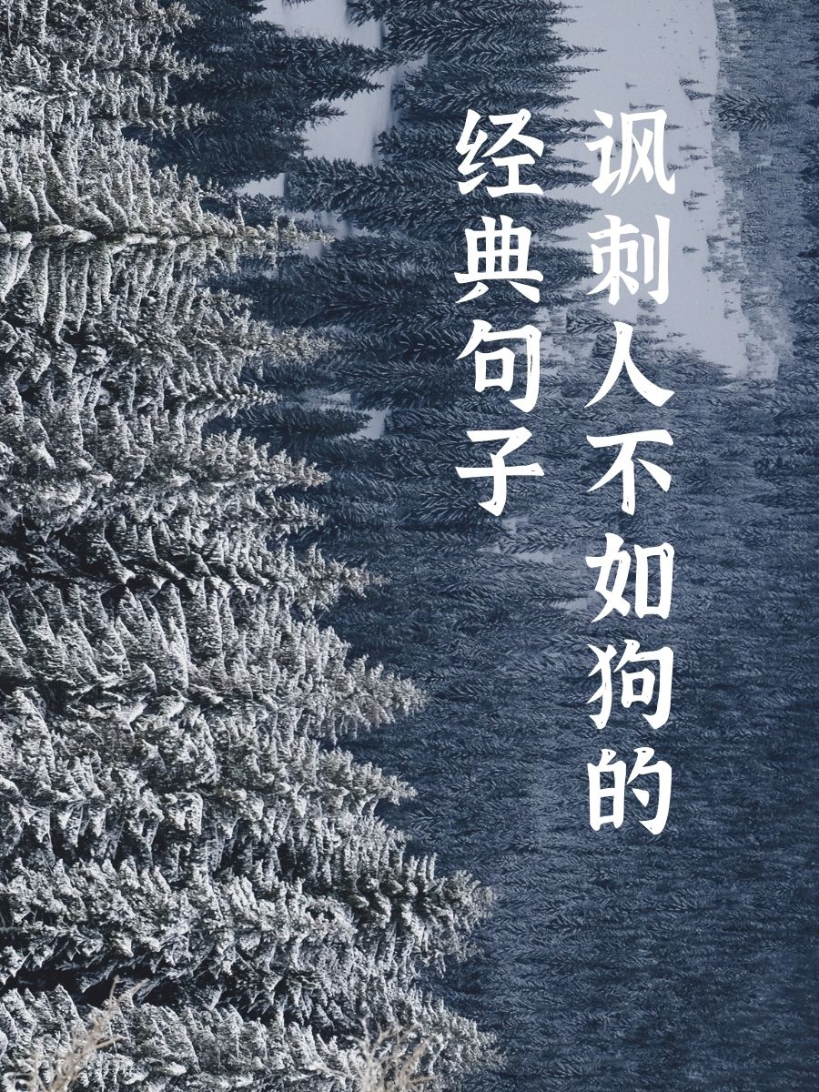 意么义什狗词什的的的义义什骨宿的-