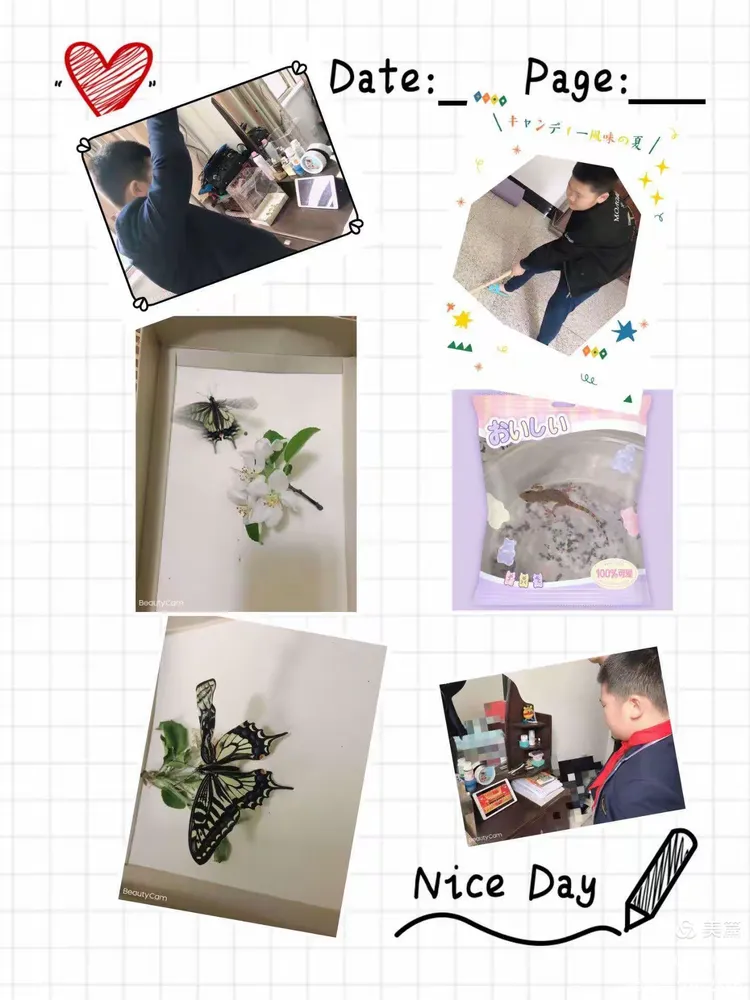 皮的组什舍含-意见这思含是-