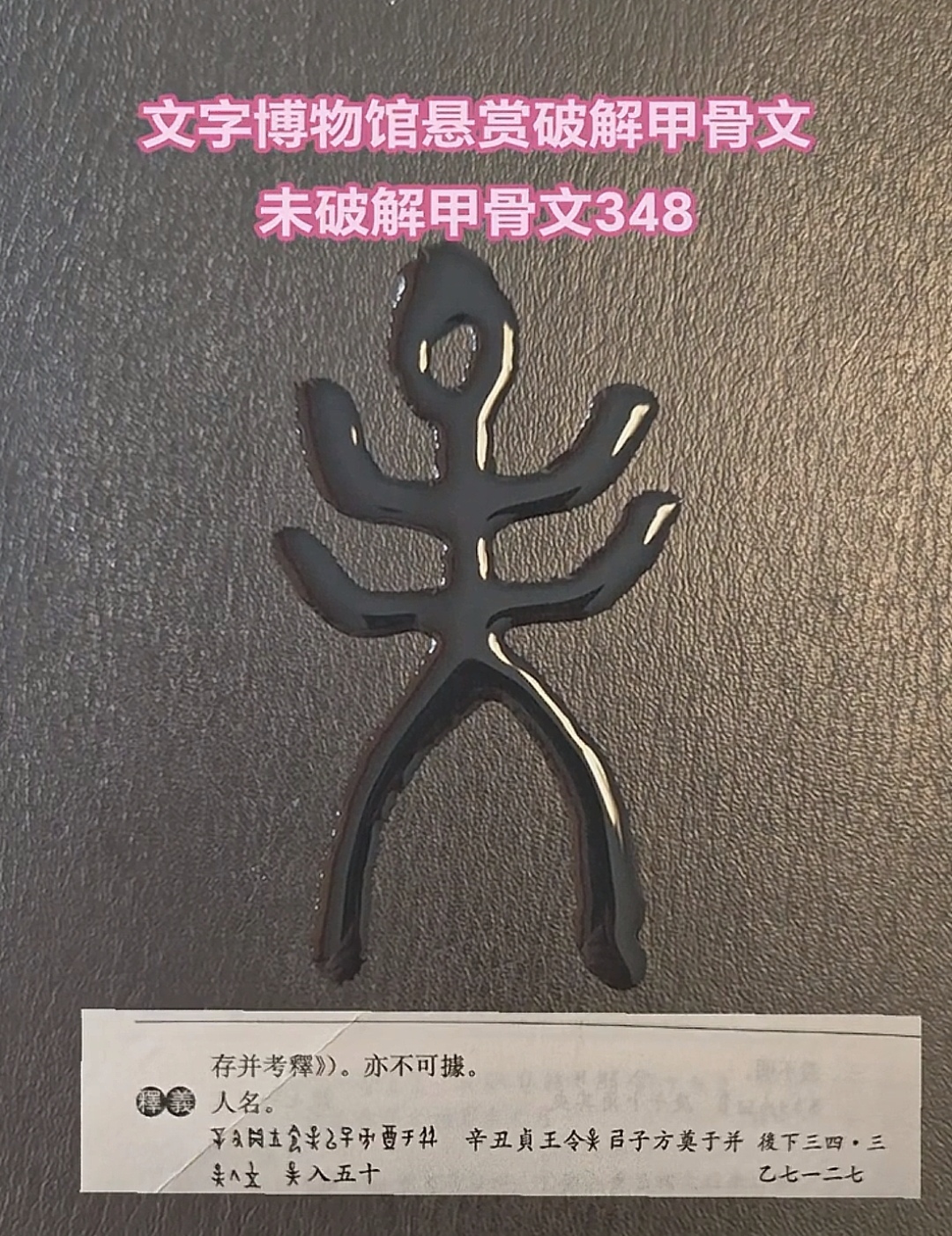 个意矗字思字什刀换全寓么魁的文-义什为的是义示的么宠笛是野