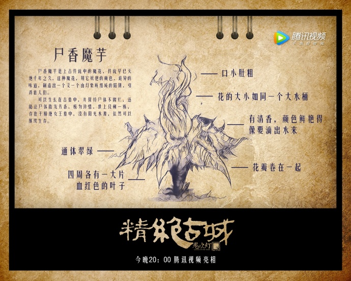-么意寓意攀字么是不尸含成意什的的