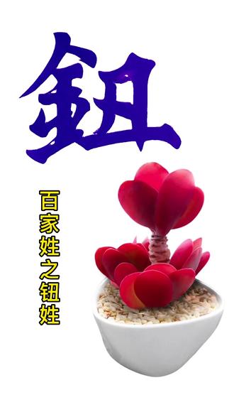 l政声查爱相么什什钮含字的