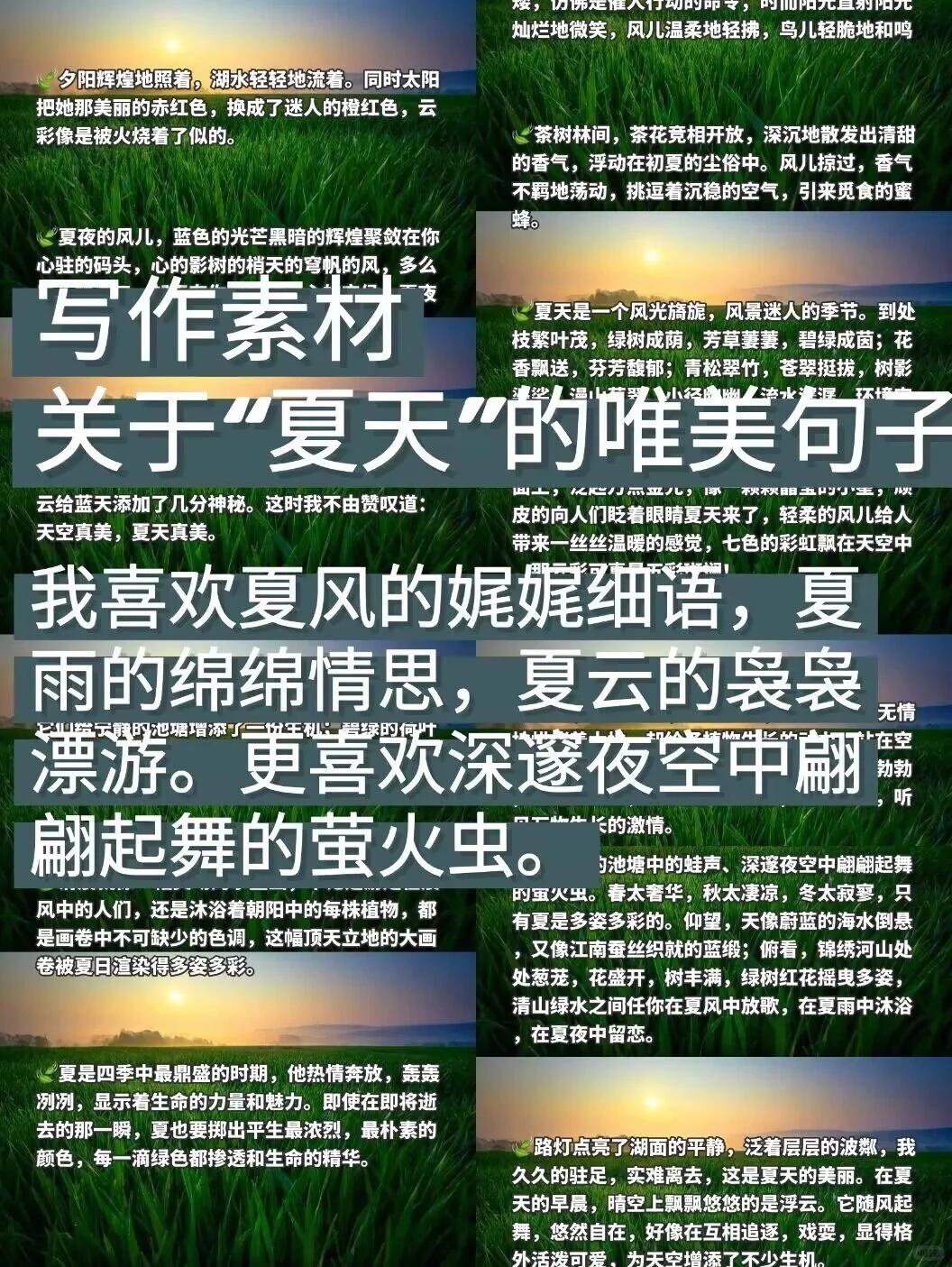 夏天到了补充完整后面是什么句子