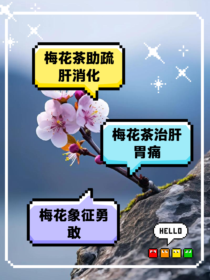 梅花的寓意是什么四字词语