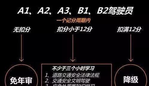 b牌驾驶证要什么条件