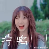 机智怎么解释