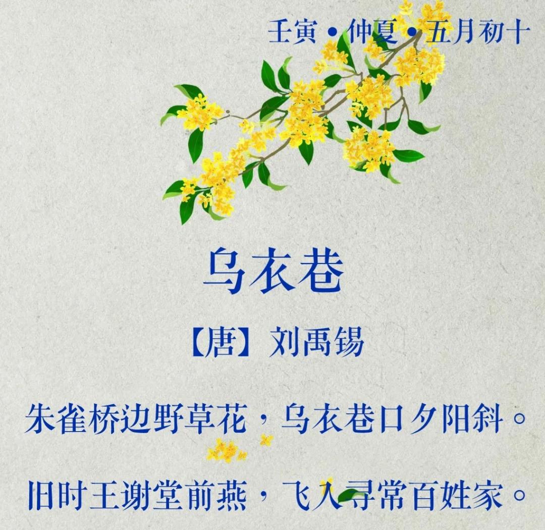 乌衣巷古诗秒懂百科