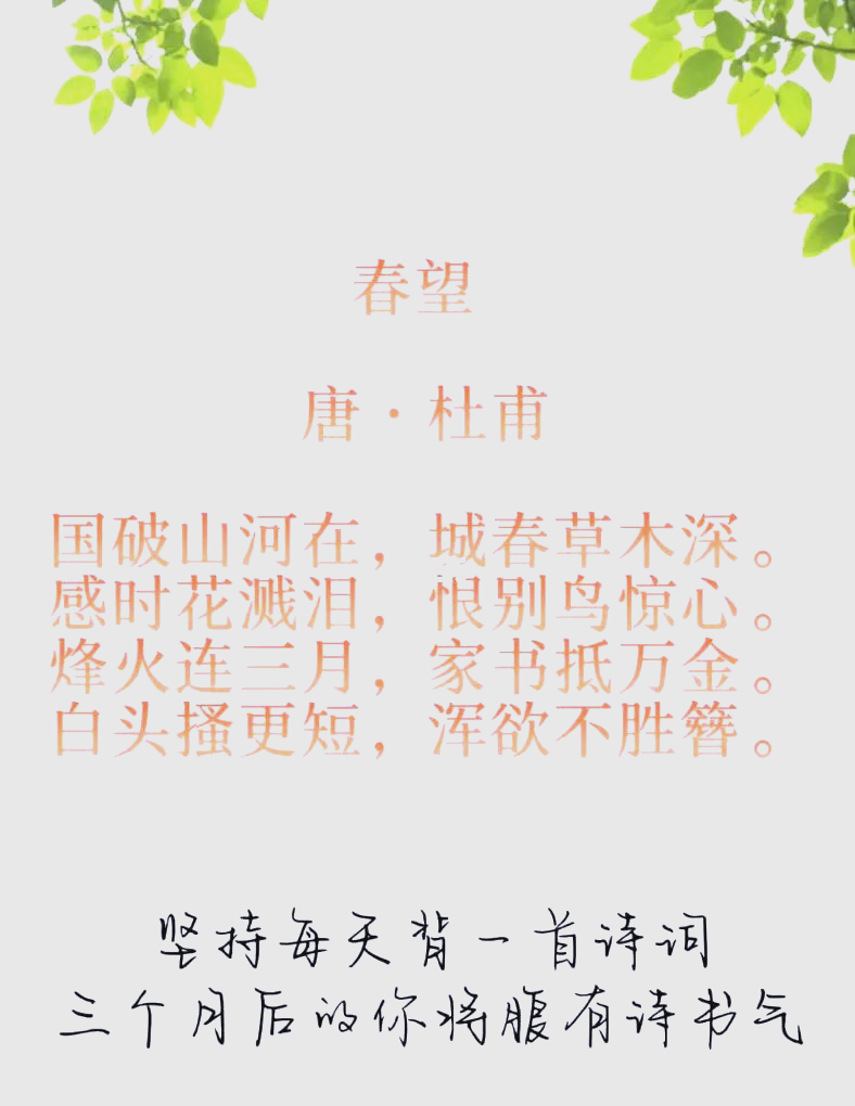 春望原文及翻译古诗文网