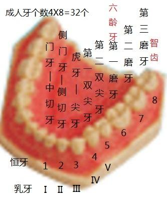 2025年9月14日 第38页